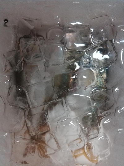 アジンガー1855〜1935