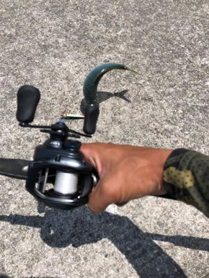 ツバス祭り 無限に当たる