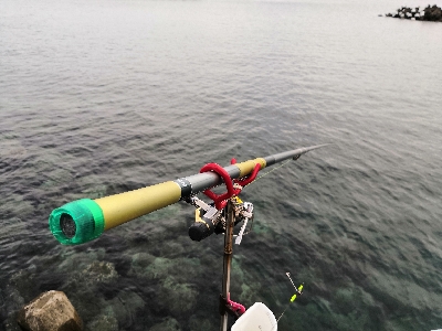 自作ヤエンでアオリイカ