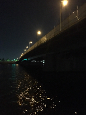 バチパターン！