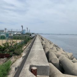 やっぱりツバス、バラしたのはヤツか!?