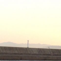 カレイは終わりかな？