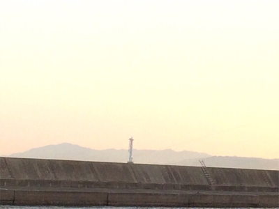 カレイは終わりかな？