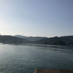 初タチウオです!