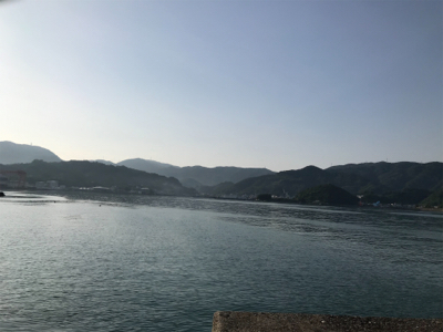 初タチウオです!