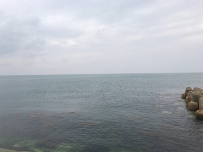 イカおらずアジ