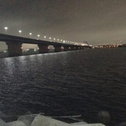 雨上がりアゲアゲ