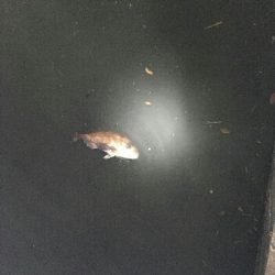 門前河口にある漁港