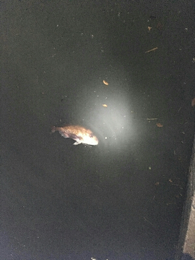 門前河口にある漁港