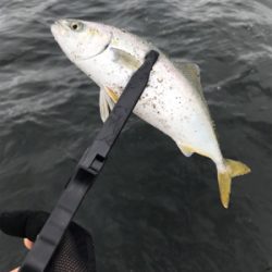 どこまでやってもツバス