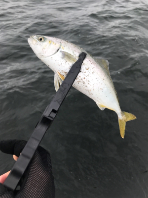 どこまでやってもツバス