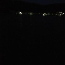 久しぶりのご馳走です