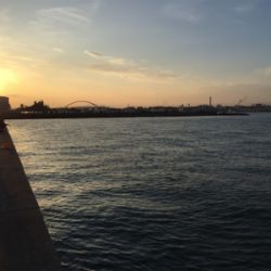 タチウオチェック