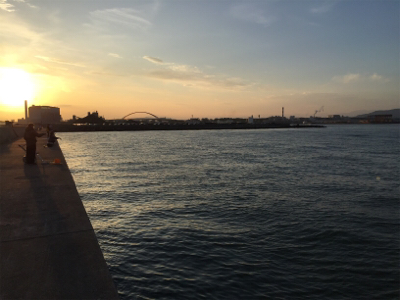 タチウオチェック