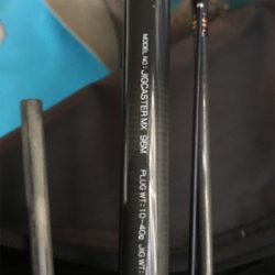 ツバス祭り体験