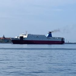 わがままなツバス