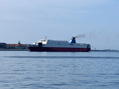 わがままなツバス