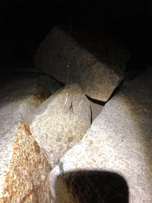 メバリングのはずが・・・