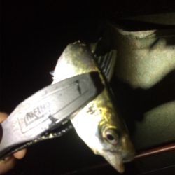 爆風ライトゲーム