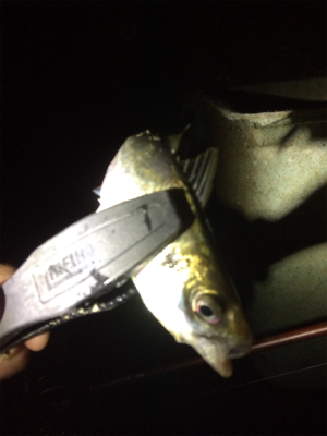 爆風ライトゲーム