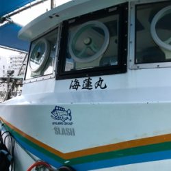 女釣り後のタコ釣り