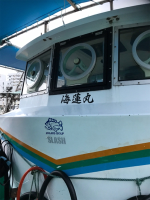 女釣り後のタコ釣り