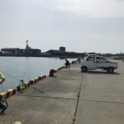 赤石東埠頭で、アジ200匹とツバス3匹