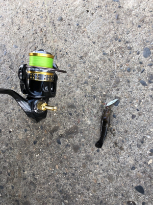 何時でも釣れる ライトゲーム