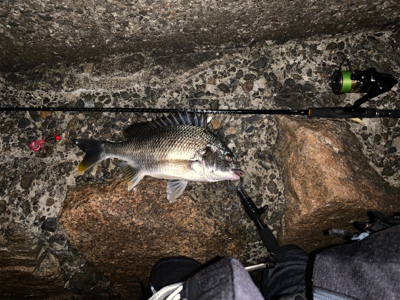 仕事終わりチニング