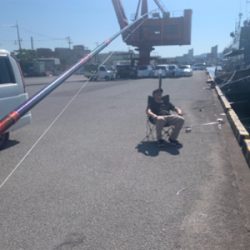 大真鰯の醸す夢は