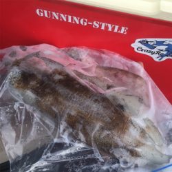 春烏賊これから☆GUNNING-STYLE