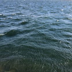 暴風の中、回遊タイミングでの積み上げ^_^