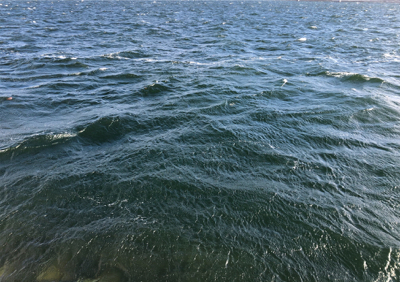 暴風の中、回遊タイミングでの積み上げ^_^