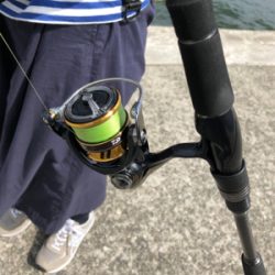 マズメはずしのデイゲーム