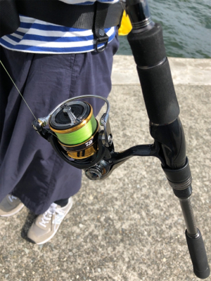 マズメはずしのデイゲーム