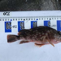 タチウオ狙いのはずが