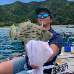 つりぴぃぽぉ釣果