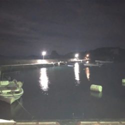 桂浜 メバル・アジ渋い…