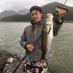 雨の後は釣れます