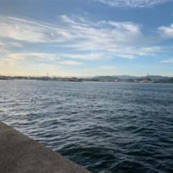 タチウオ大漁の予感