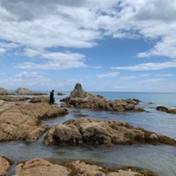 三日越しの、淡路撃沈の、結局。