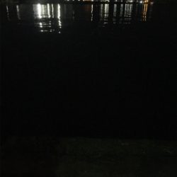 一週間ぶりのアジング