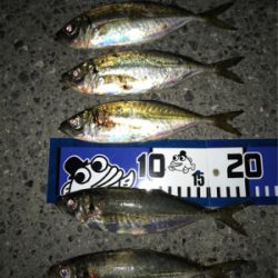 NEWロッドに鱗付け