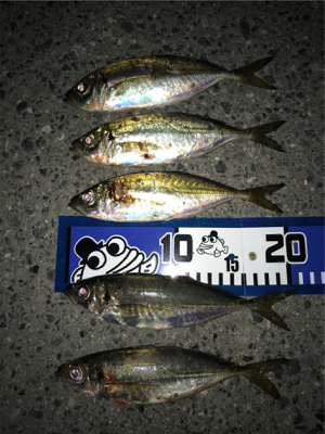 NEWロッドに鱗付け