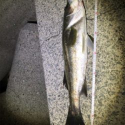 メタルマルハンパないって!