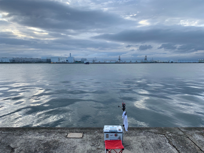 エビ撒きでスズキ！