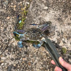 ちょい投げキス