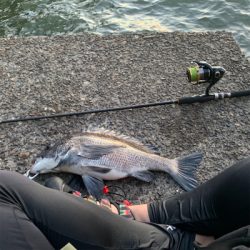 夕方からチニング