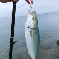 ライトタックルでデイゲーム♪