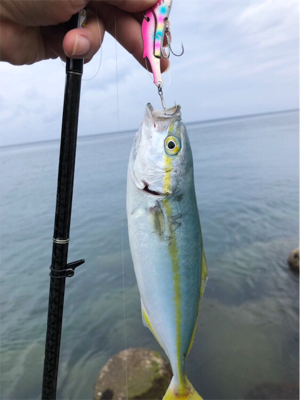 ライトタックルでデイゲーム♪